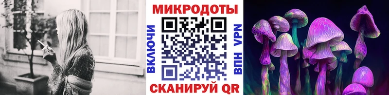 где найти наркотики  Солигалич  Псилоцибиновые грибы Psilocybe 